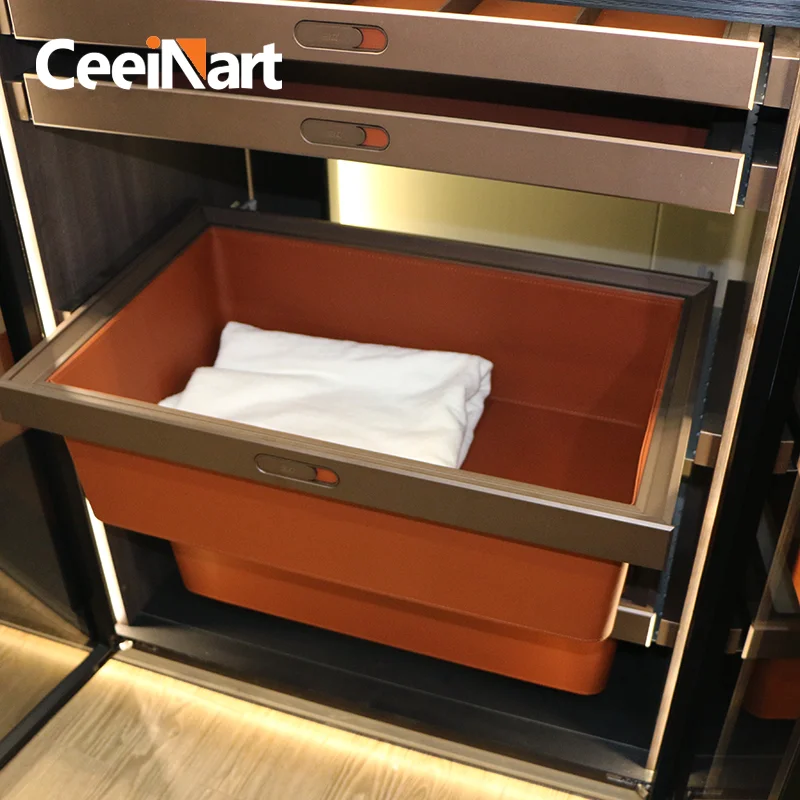 Modern Wardrobe Organizer Accessories Baskets Pull Out Storage Baskets
